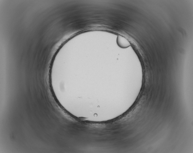 X0000112401333200909251428