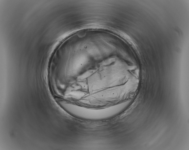 X0000112401334200909251428