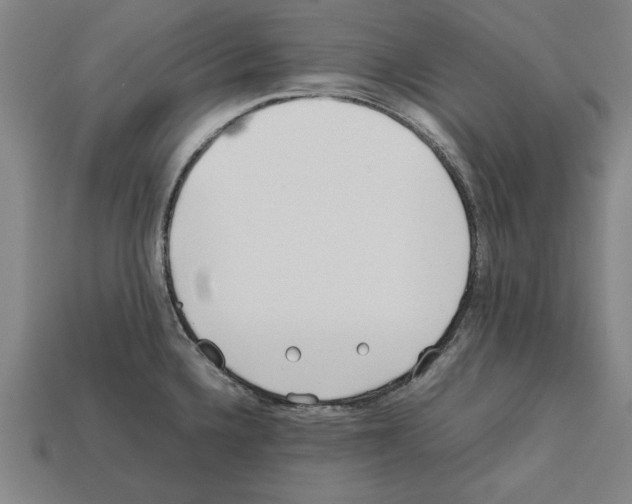 X0000112401336200909251428
