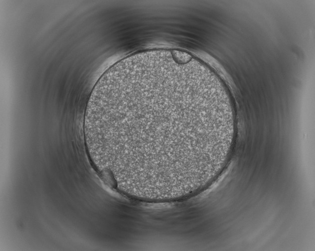 X0000112401337200909251428