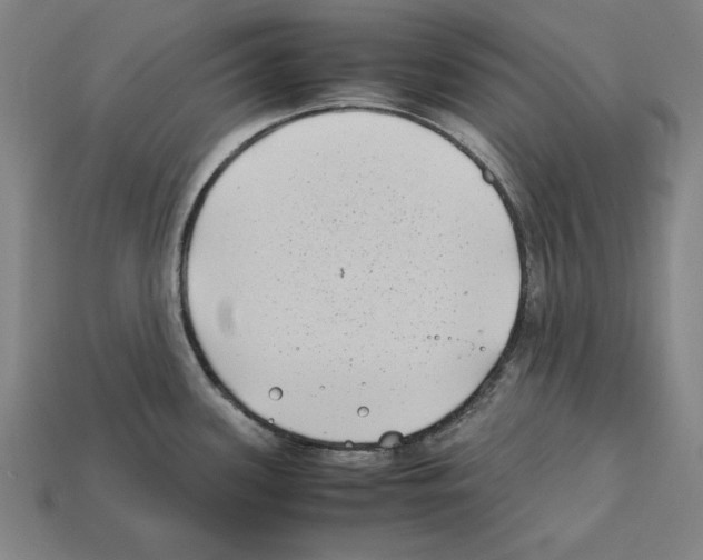 X0000112401339200909251428