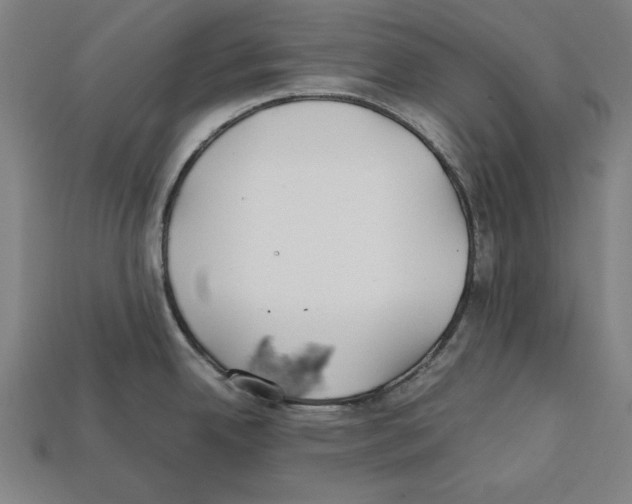 X0000112401342200909251428