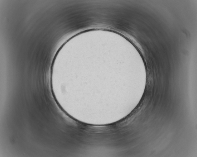 X0000112401343200909251428