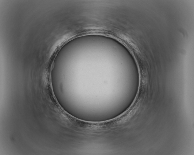 X0000112401357200909251427