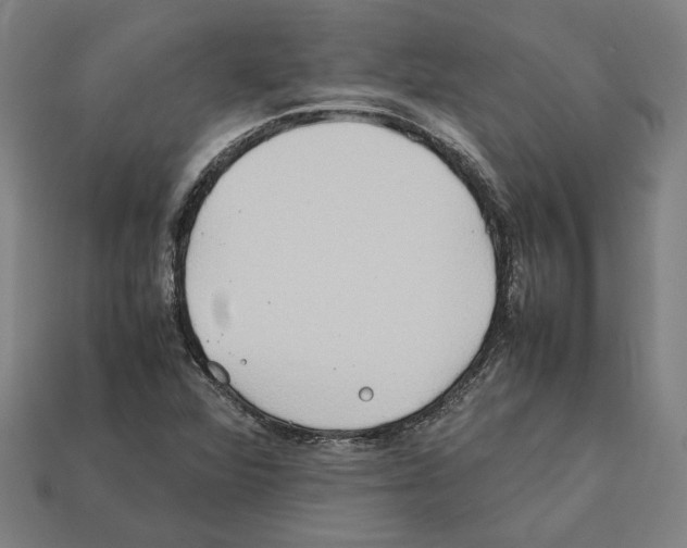 X0000112401360200909251427
