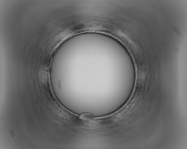 X0000112401361200909251427