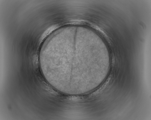 X0000112401362200909251427
