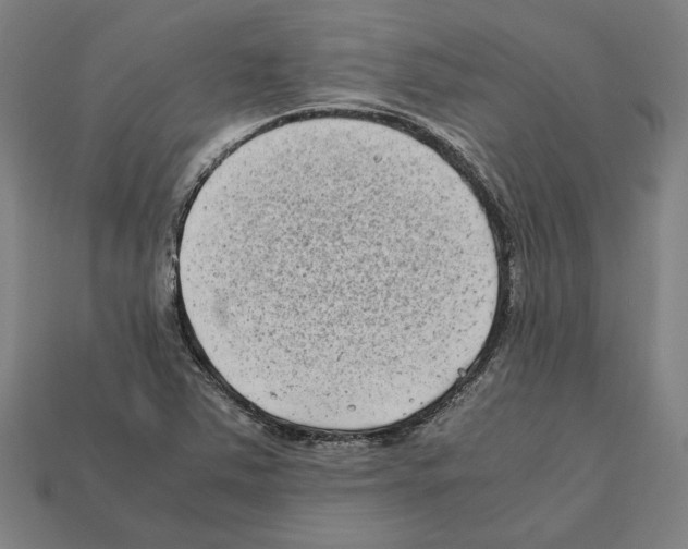 X0000112401363200909251427