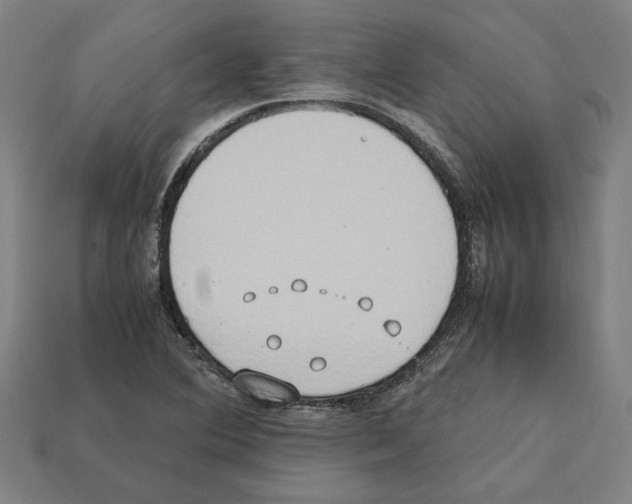 X0000112401364200909251427