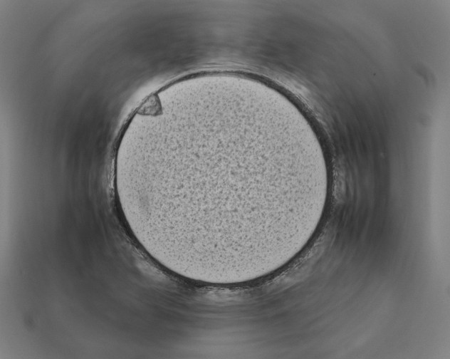 X0000112401366200909251427