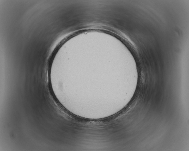 X0000112401368200909251427