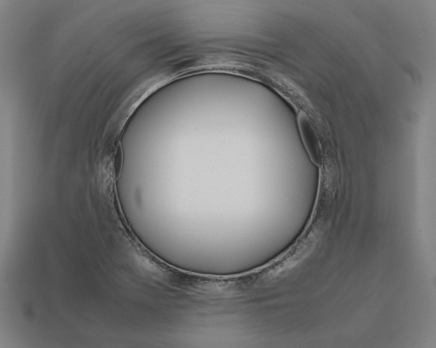 X0000112401369200909251427
