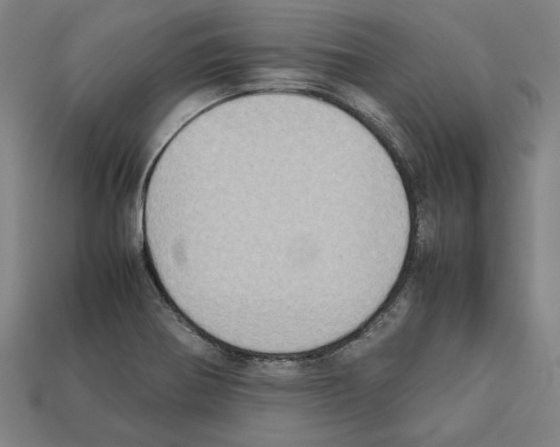 X0000112401370200909251427