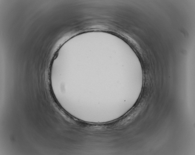 X0000112401373200909251427