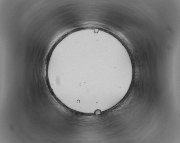 X0000112401376200909251427