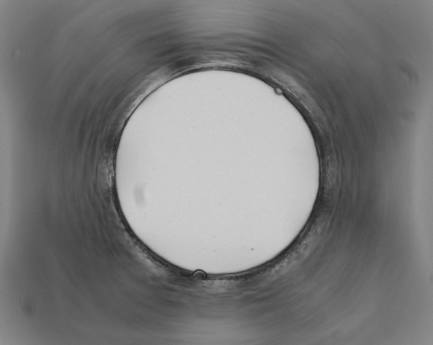 X0000112401377200909251427