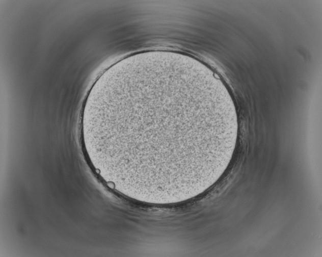 X0000112401379200909251427
