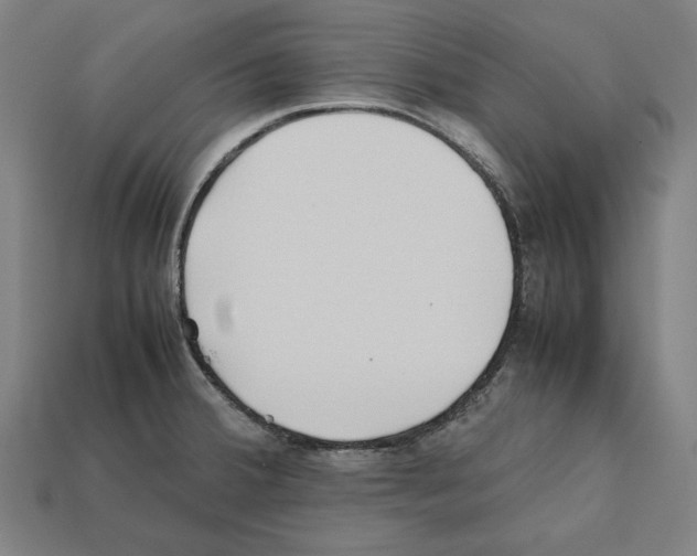X0000112401380200909251427