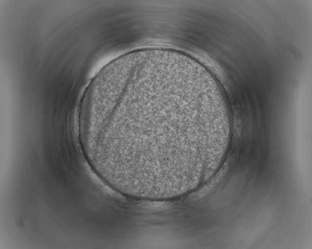 X0000112401382200909251427