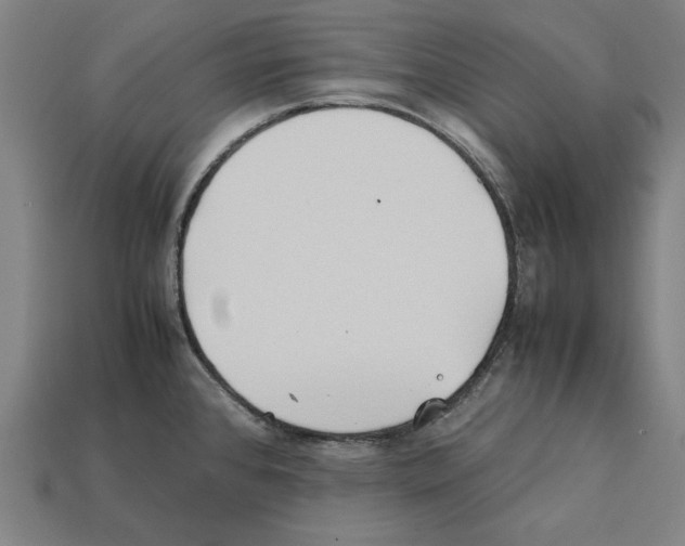 X0000112401384200909251427