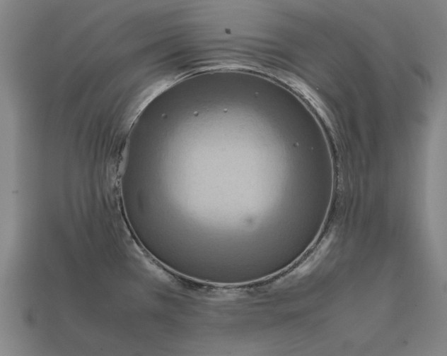 X0000112401385200909251427