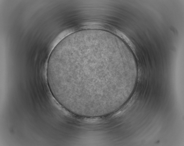 X0000112401386200909251426