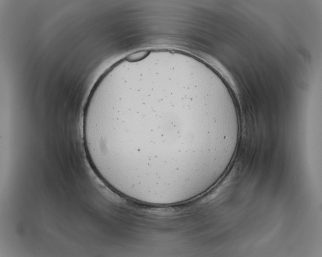 X0000112401388200909251426