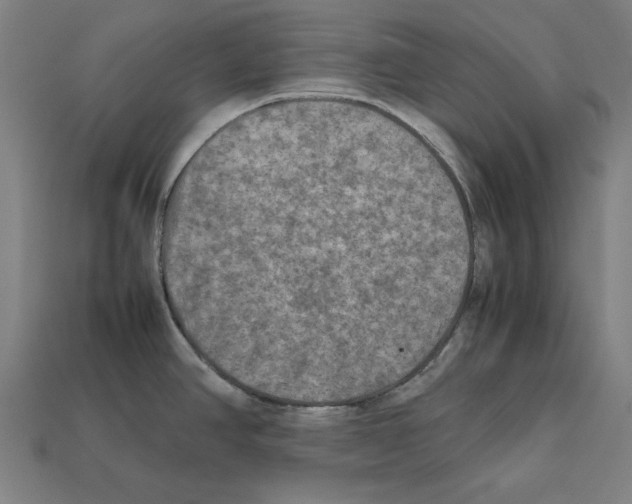 X0000112401390200909251426