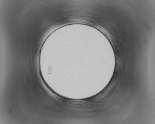 X0000112401391200909251426