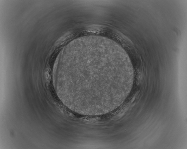 X0000112401394200909251426