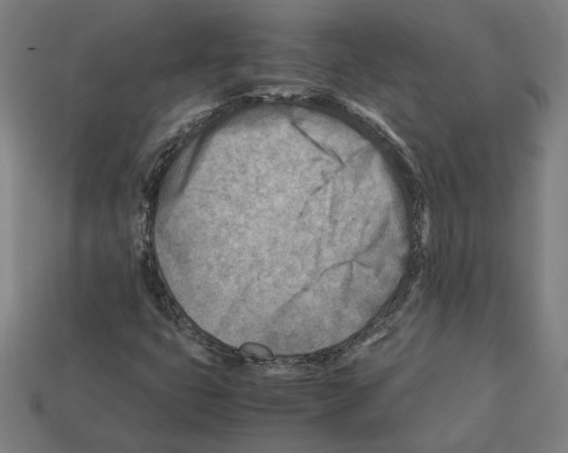 X0000112401399200909251426