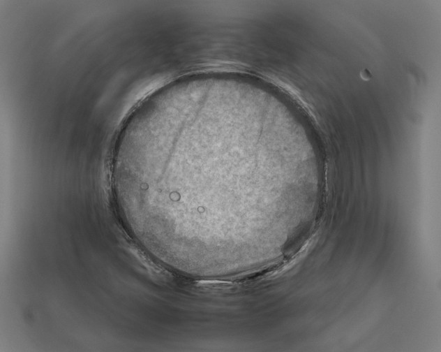 X0000112401405200909251426