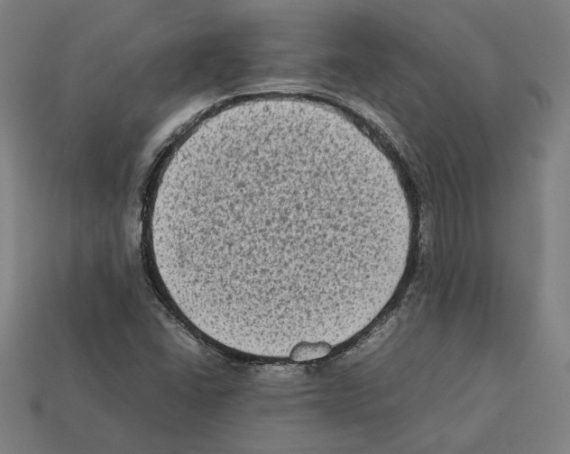 X0000112401406200909251426