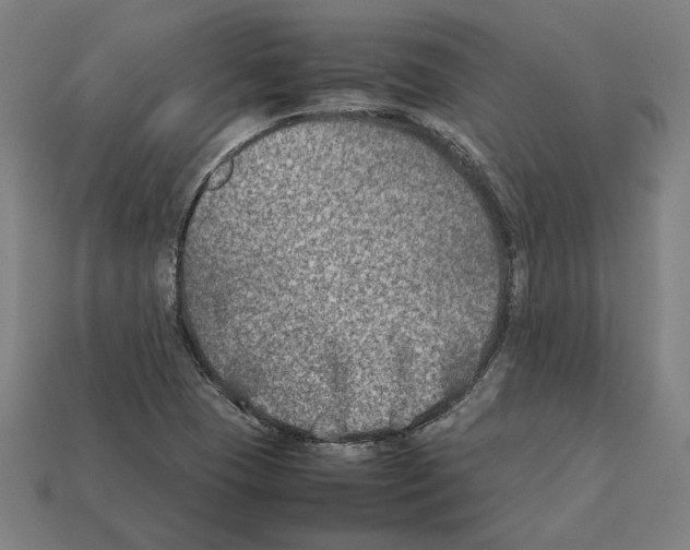 X0000112401409200909251426