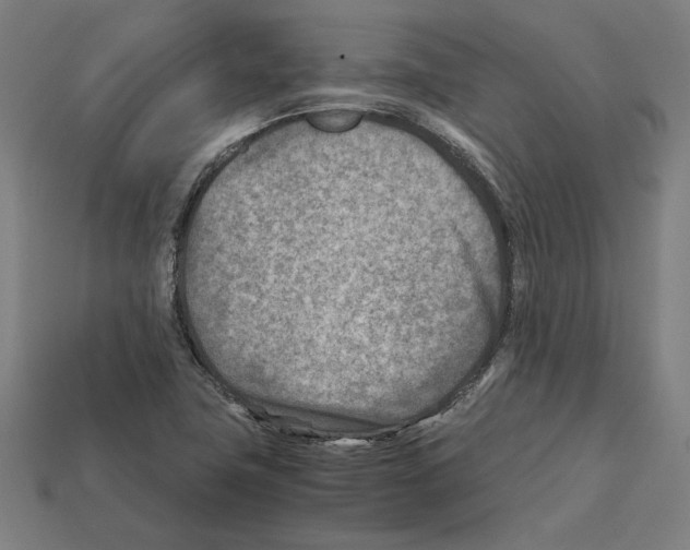 X0000112401411200909251426