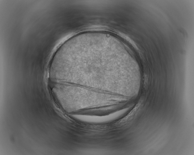 X0000112401413200909251426