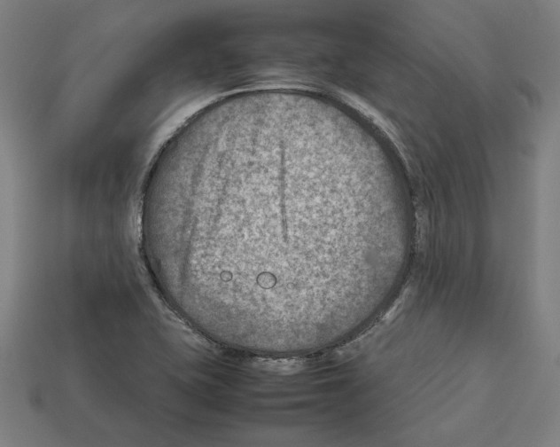 X0000112401415200909251426