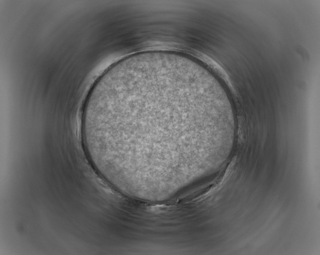 X0000112401419200909251426