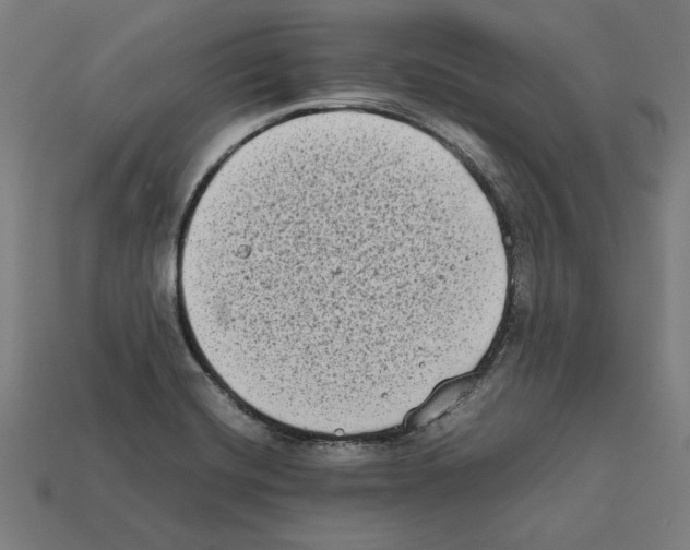 X0000112401420200909251426