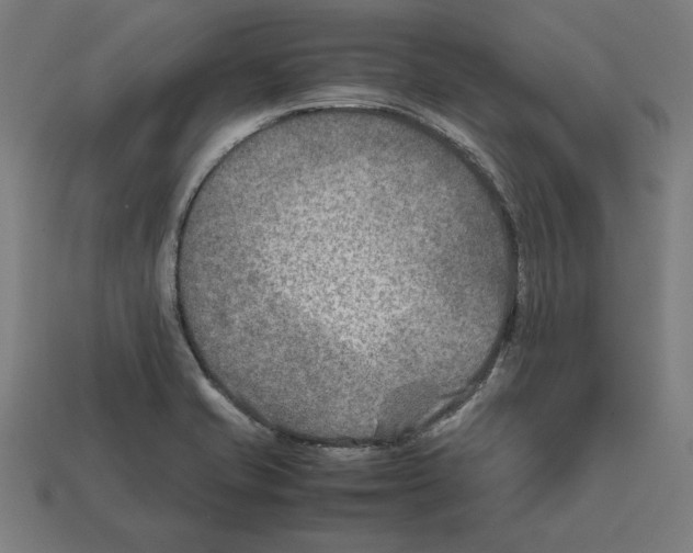 X0000112401421200909251426