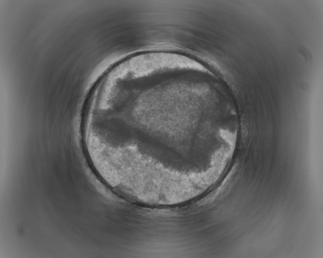 X0000112401422200909251426