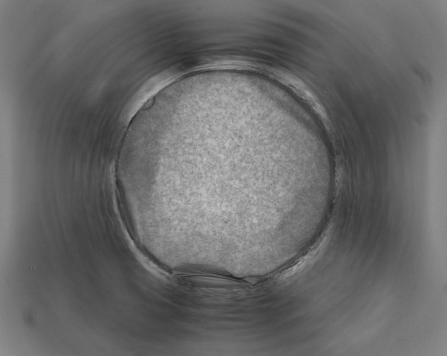 X0000112401425200909251426