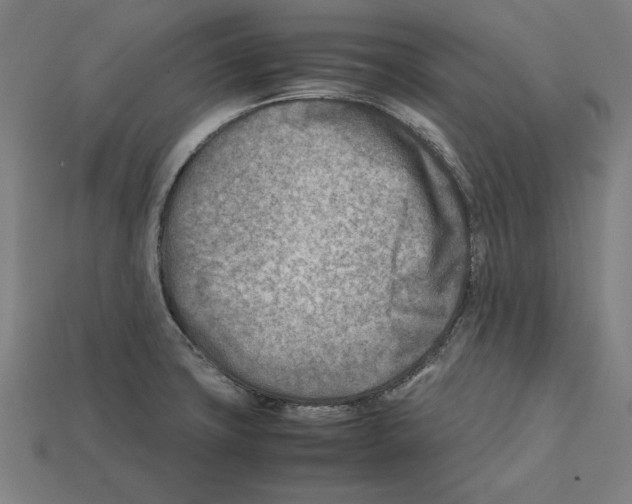 X0000112401427200909251426