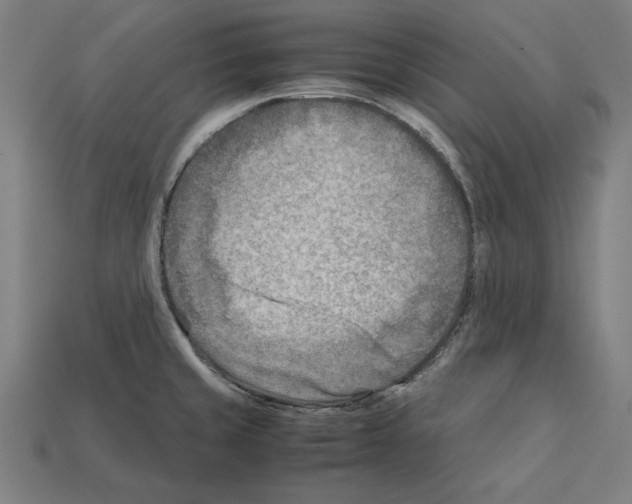 X0000112401429200909251426