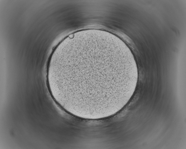 X0000112401430200909251426