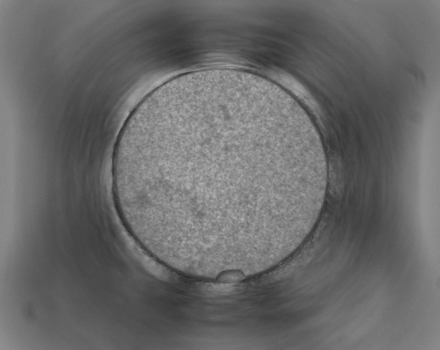 X0000112401431200909251426