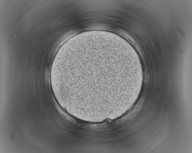 X0000112401433200909251426