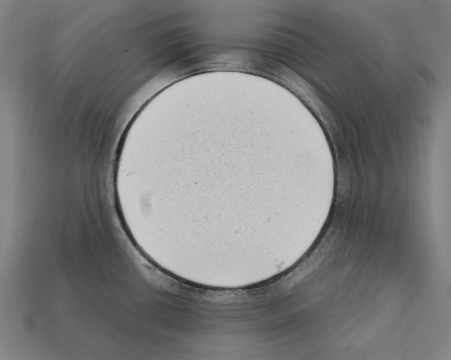 X0000112401434200909251426