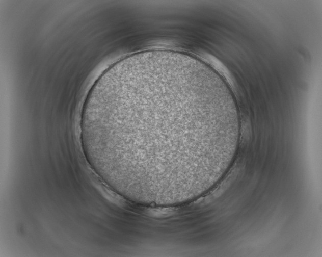 X0000112401435200909251426