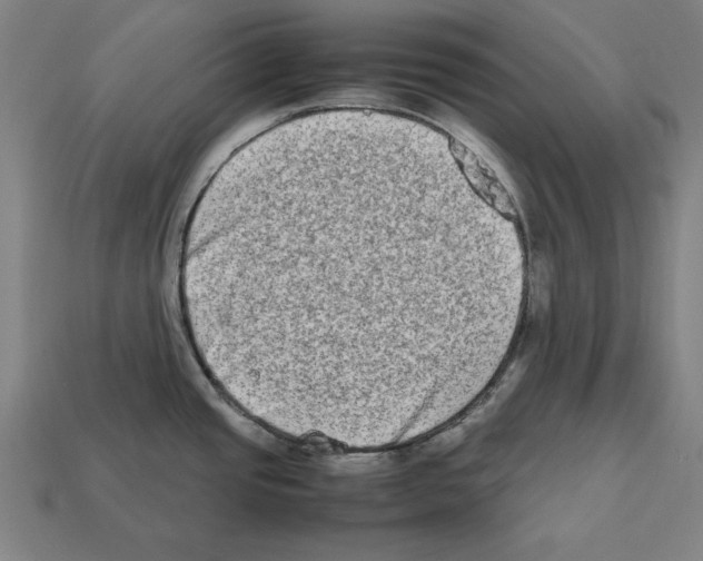 X0000112401437200909251426